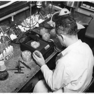 Man sitting at table with scientific instruments and petri dishes