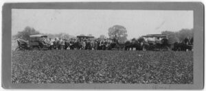 people standing at edge of farm field with horse and buggies and a car