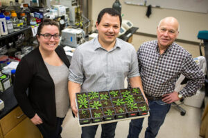 Don Ort (right) with postdoctoral researchers Paul South (middle) and Amanda Cavanagh (left) discovered a key protein involved in a process called photorespiration