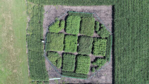 Aerial view of a circular field growing crops at the University of Illinois soy farms.